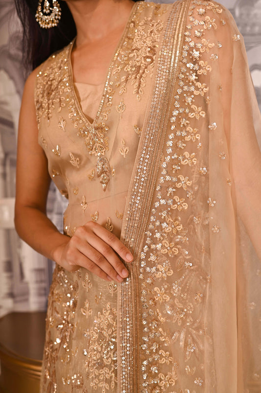 Golden Glow