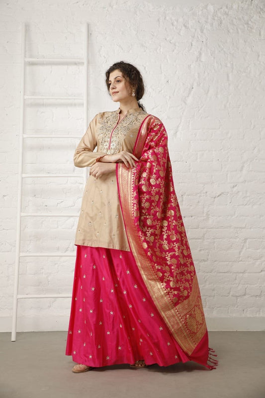 Rani Pink lehenga with Beige Top