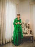 Phagun Set